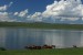 Koně u jezera Sagán