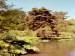 zahrada Dunedin